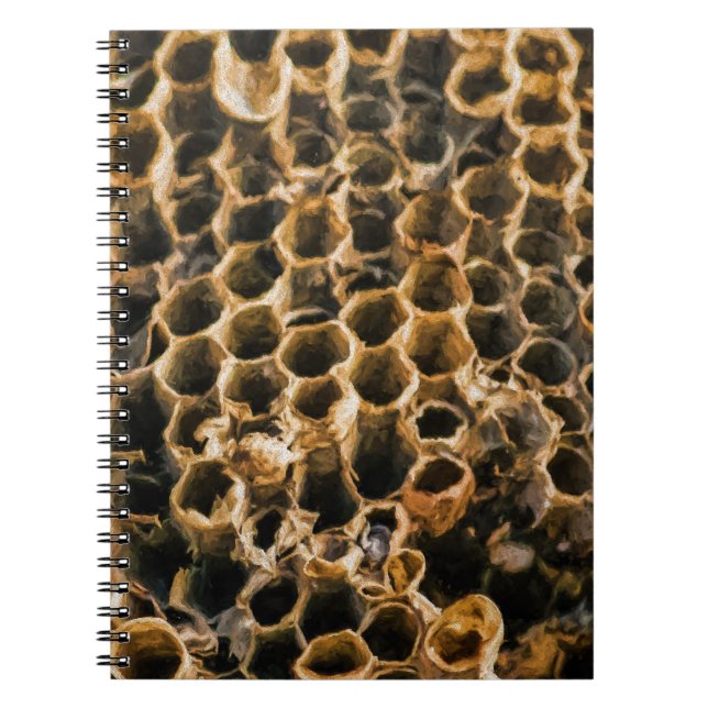 Tom kapest anteckningsbok med spiral (Framsidan)