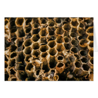 Tom kapest hälsningskort