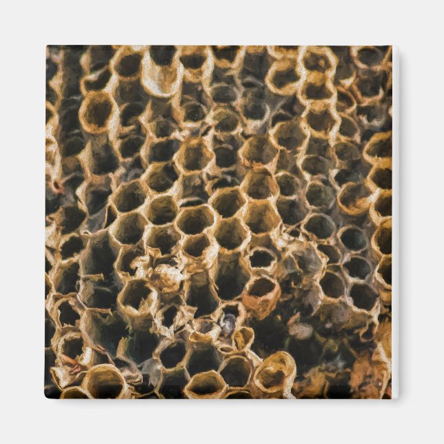 Tom kapest magnet (Framsidan)