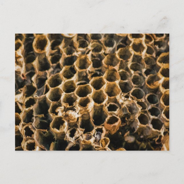 Tom kapest vykort (Framsida)