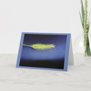 Tom Kort