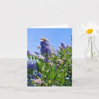 Tom kort med syrenblommor