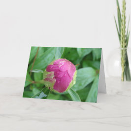 Tom Kort välkommen till våren