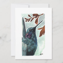 Tom - Lila Throme Hummingbird Watercolor