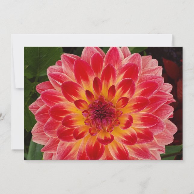 Tom mappad inbjudan (Framsida)