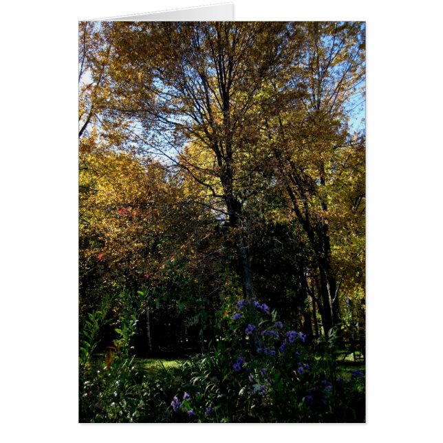 Tom_Mauve Träd OBS Kort (Framsidan)