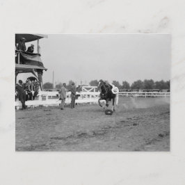 Tom Mix samlar in en hatt Vykort