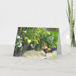 Tom natur för tupp kort