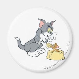 Tom och Jerry matar katten Magnet