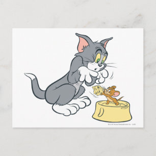 Tom och Jerry Matar katten Vykort