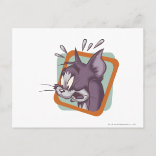Tom Scaredy Cat Vykort