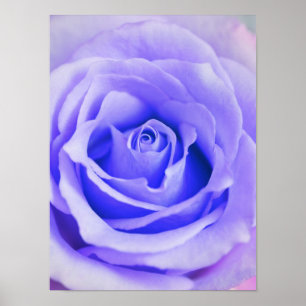 Tom skräddarsy lavendel för lilaro bakgrund poster