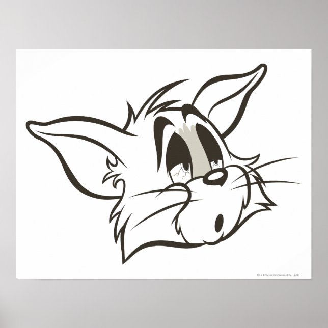 Tom Sömnig Katt Poster (Framsidan)