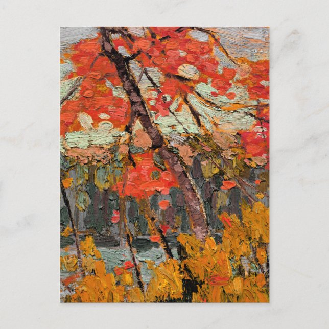 Tom Thomson - Twisted Maple Vykort (Framsida)