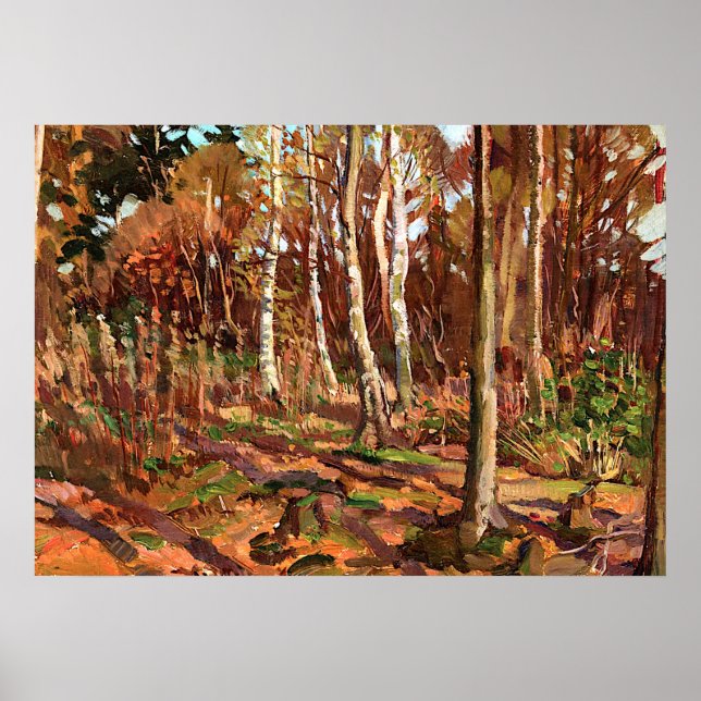 Tom Thomson - View of Algonquin Park Poster (Framsidan)