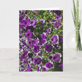 Tom välkomstkort med lila blommor kort