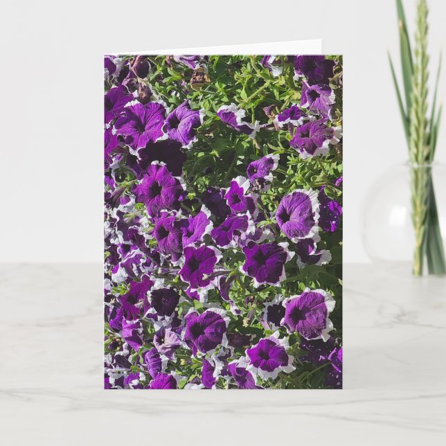 Tom välkomstkort med lila blommor kort (Framsida)