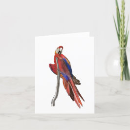Tom välkomstkort med Scarlet Macaw-design Tack Kort