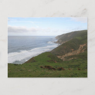 Tomales Point vid Point Reyes National Seashore Vykort