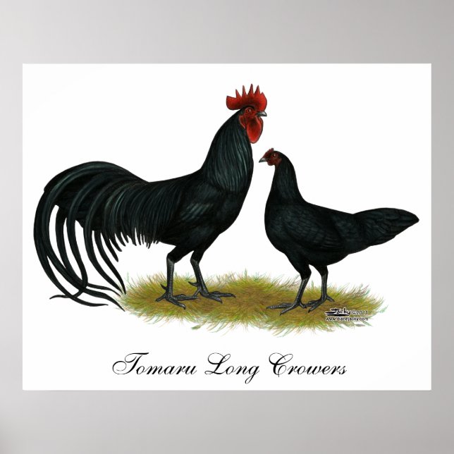 Tomaru Long Crower Chickens Poster (Framsidan)