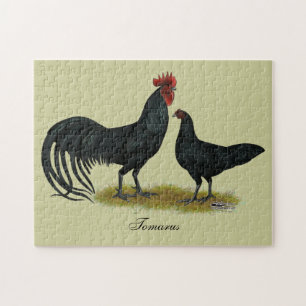 Tomaru Long Crower Chickens Pussel
