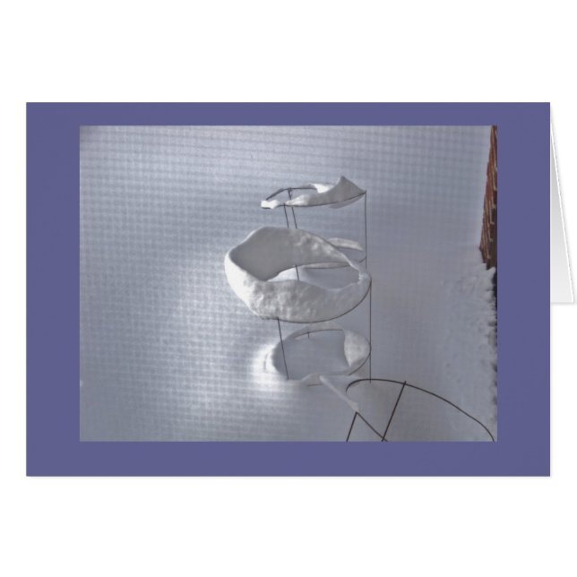 Tomatbur i vinter OBS kort (Framsidan Horizontal)