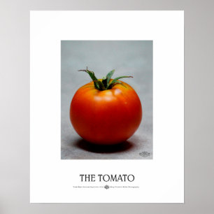 Tomaten Poster