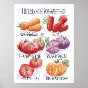 Tomater Art Skriv ut Poster