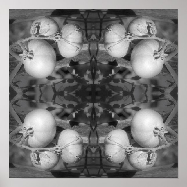 Tomater i svart och vit Abstrakt Poster (Framsidan)