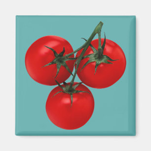 Tomater Magnet