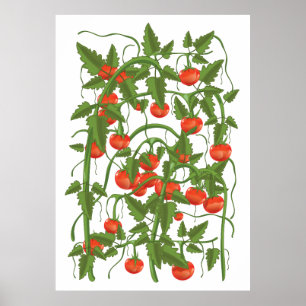 Tomater Mönster Poster