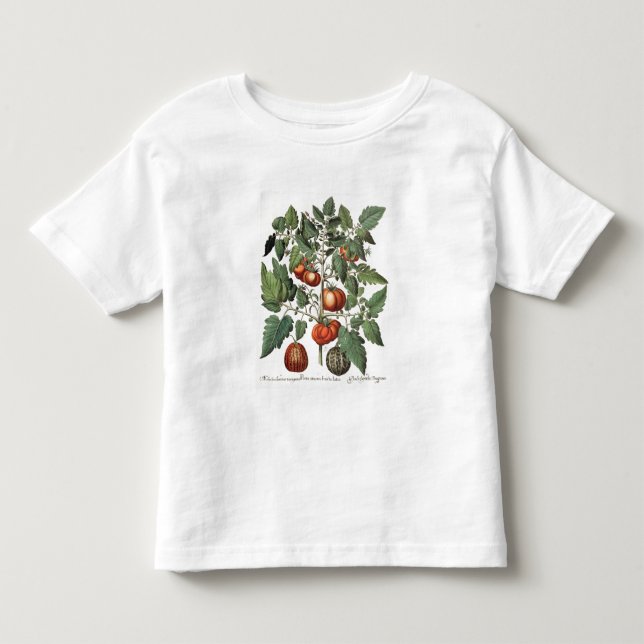 Tomater och melnar: fructuluteo för amoris 1.Poma; Tee Shirt (Framsida)
