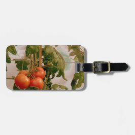 Tomater på vin bagagebricka