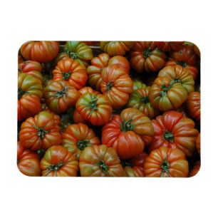 Tomates Magnet