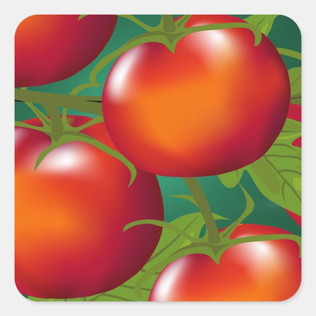 Tomates Sticker Fyrkantigt Klistermärke (Framsida)