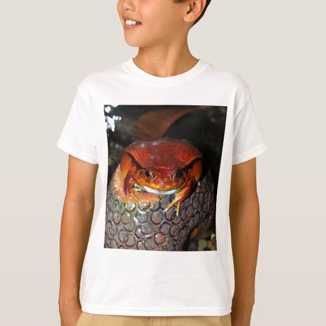 Tomatgroda Tee (Framsida)
