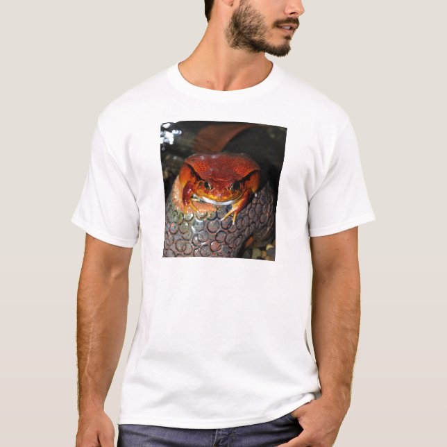 Tomatgroda Tee (Framsida)