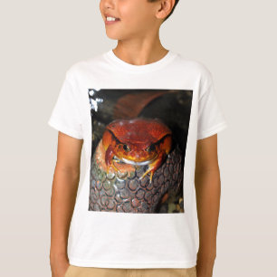 Tomatgroda Tee Shirt