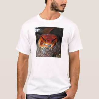 Tomatgroda Tee Shirt