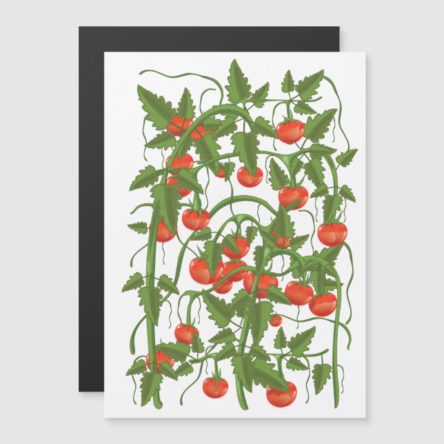 Tomatmönster (Fram/baksida)
