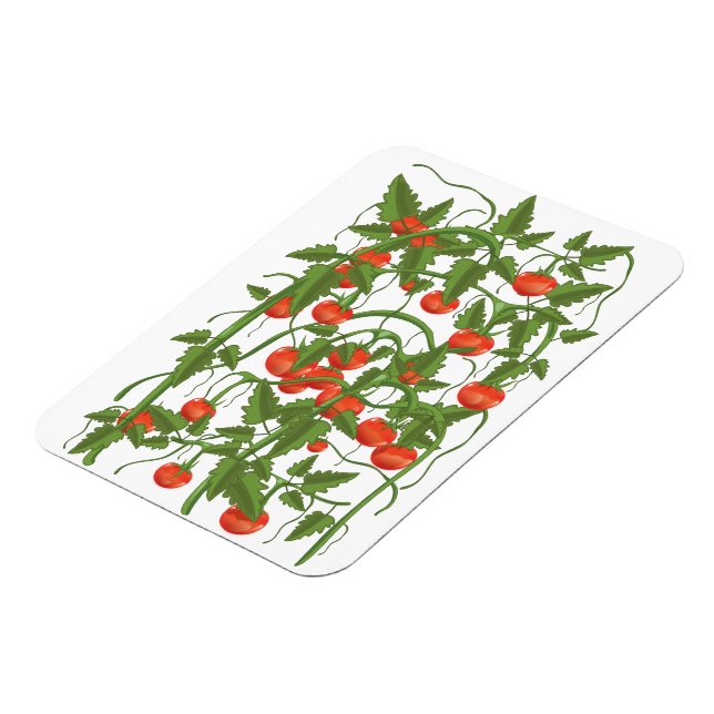 Tomatmönster Magnet (Vänstra Sidan)