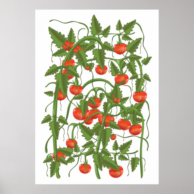 Tomatmönster Poster (Framsidan)