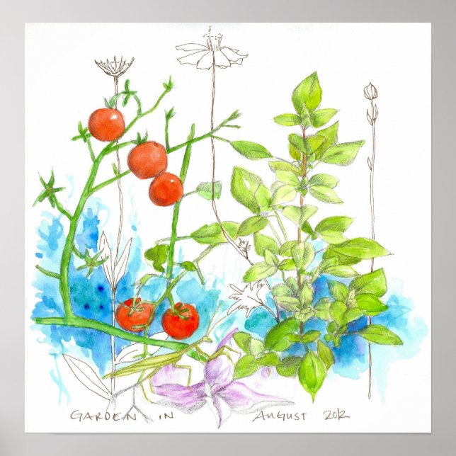 Tomato Basil Örters Watercolor Garden Flowers Poster (Framsidan)