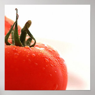 Tomato Close Up-Poster Poster