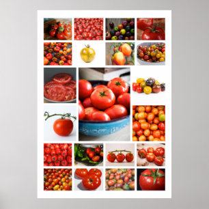 TOMATO Collage Poster