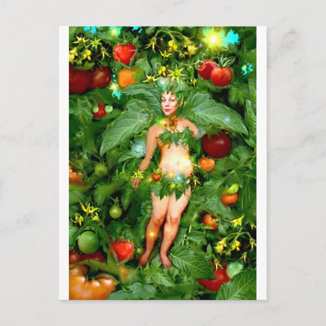 Tomato Fairy Vykort (Framsida)