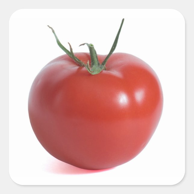 Tomato Fyrkantigt Klistermärke (Framsida)