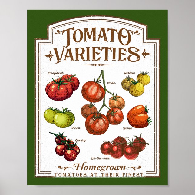 Tomato Gardener, Vegetabiliska tomater  Poster (Framsidan)