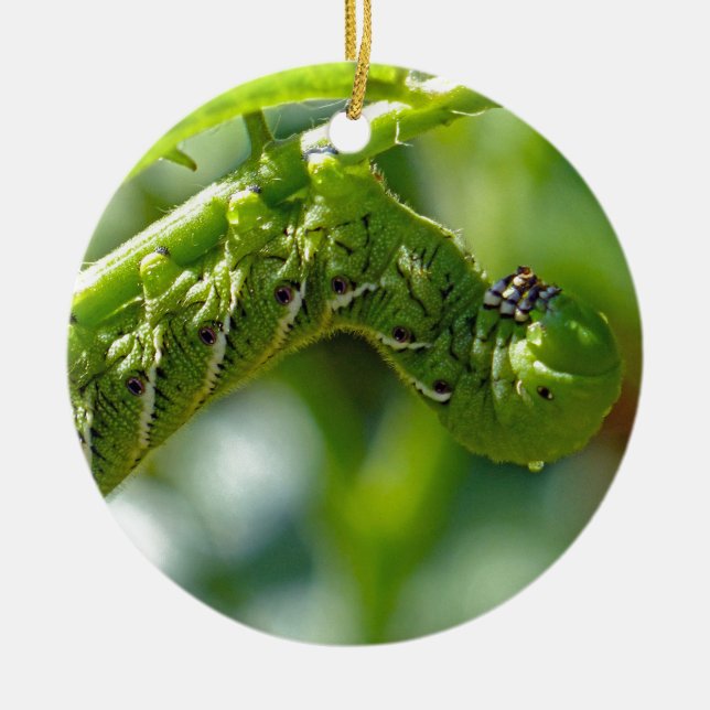 Tomato Hornworm Ceramic Ornament (Framsidan)