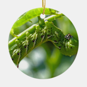 Tomato Hornworm Julgransprydnad Keramik